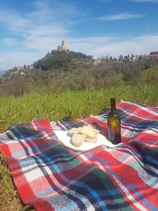La Casina Di Nonna Giulia Apartamento Castiglione dʼOrcia Exterior foto