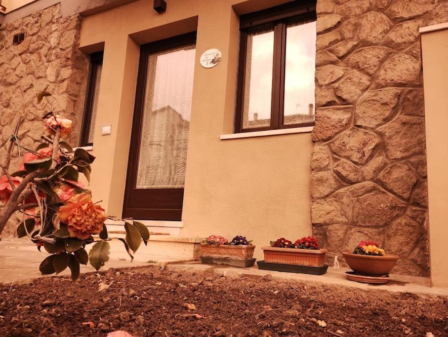 La Casina Di Nonna Giulia Apartamento Castiglione dʼOrcia Exterior foto